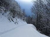 Immagini di sci nordico dalle piste dei Piani di Bobbio, di Schilpario e di Zambla (inverno 2010) - FOTOGALLERY